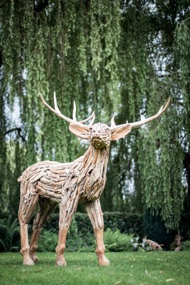 Large Stag