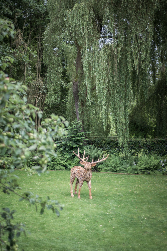 Mini Stag