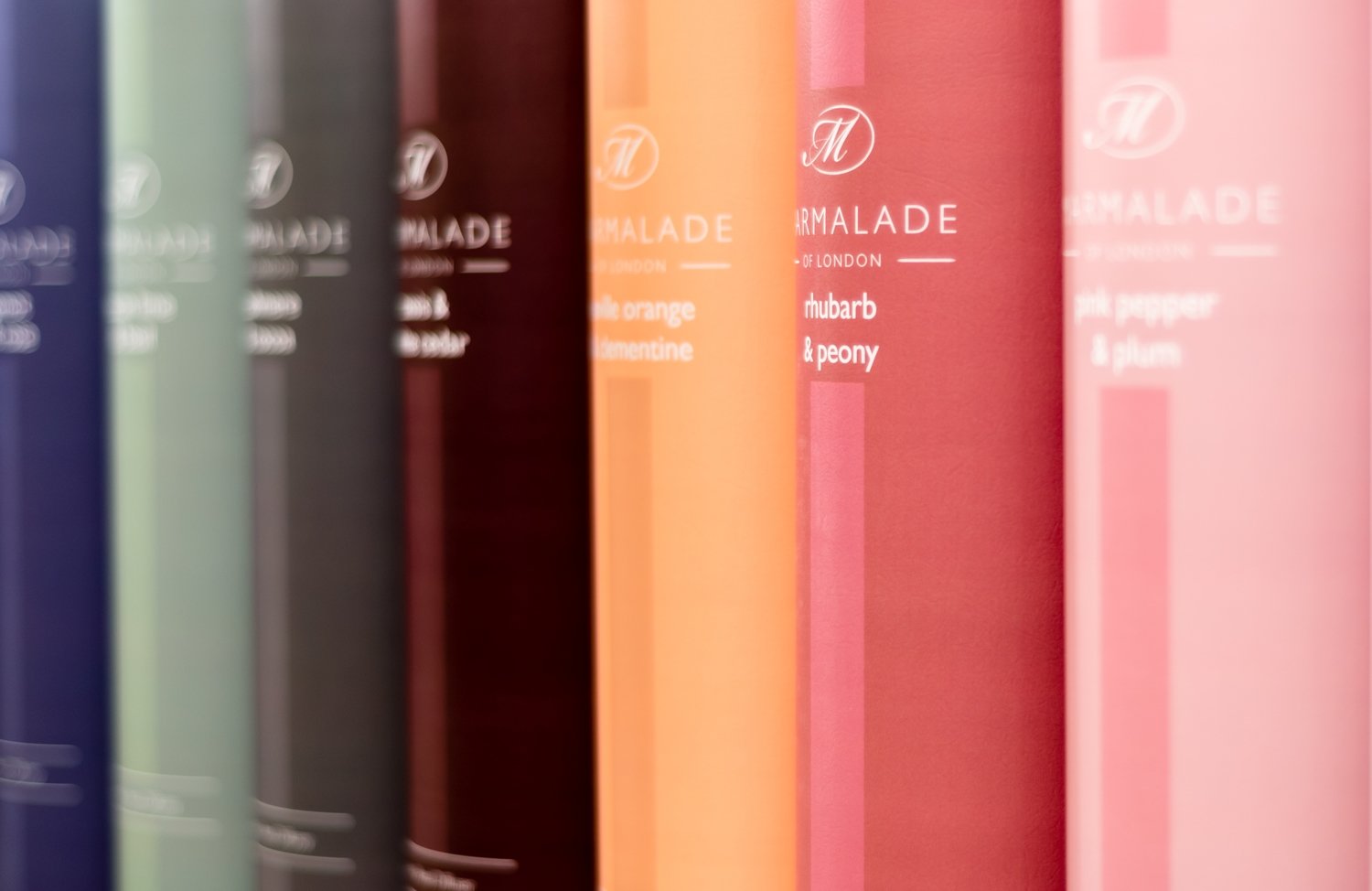 Mango & Lychee Replacement Reeds