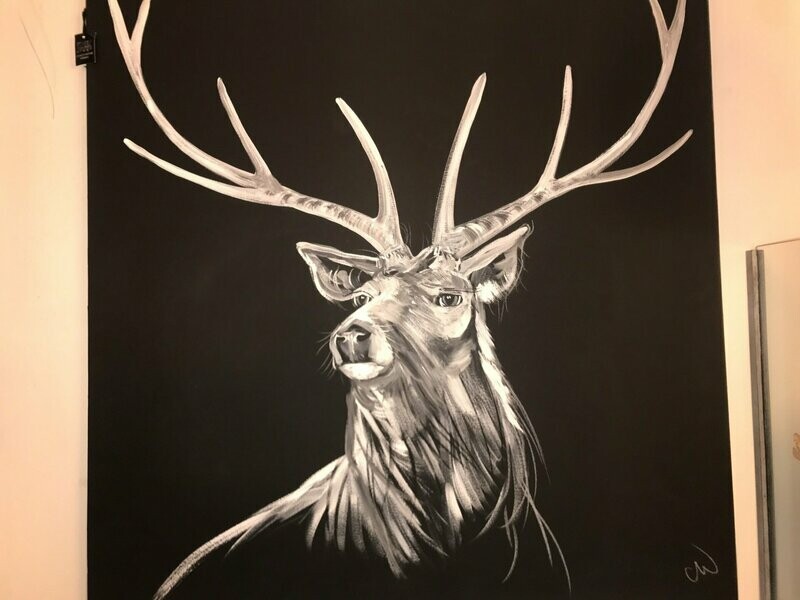 Stag Original Painting By Caroline Walker Black Canvas - 100x100cm