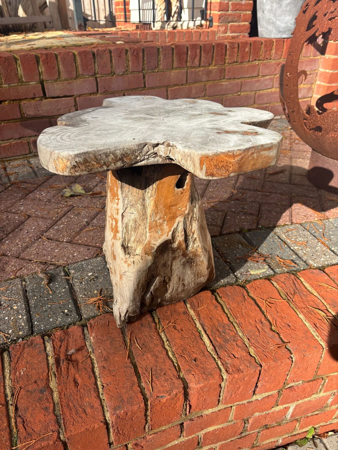 Mushroom Coffee Table - Medium