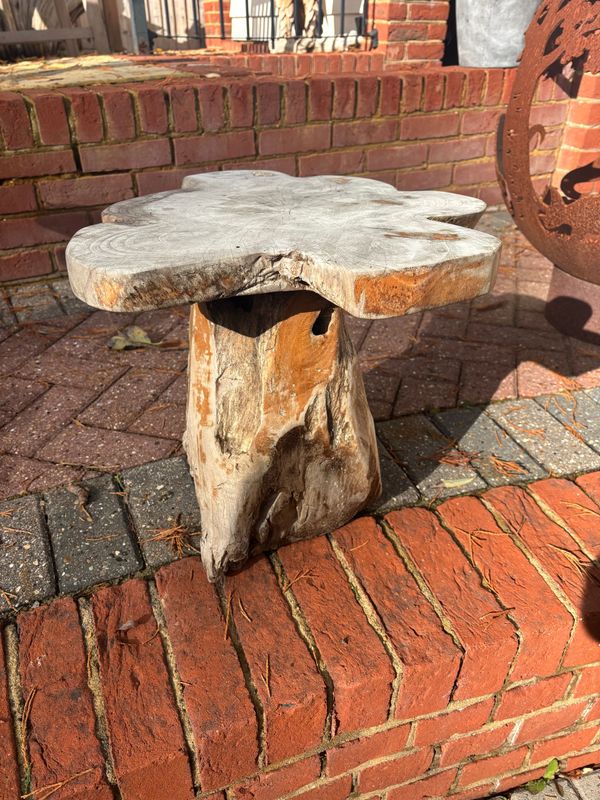 Mushroom Coffee Table - Medium