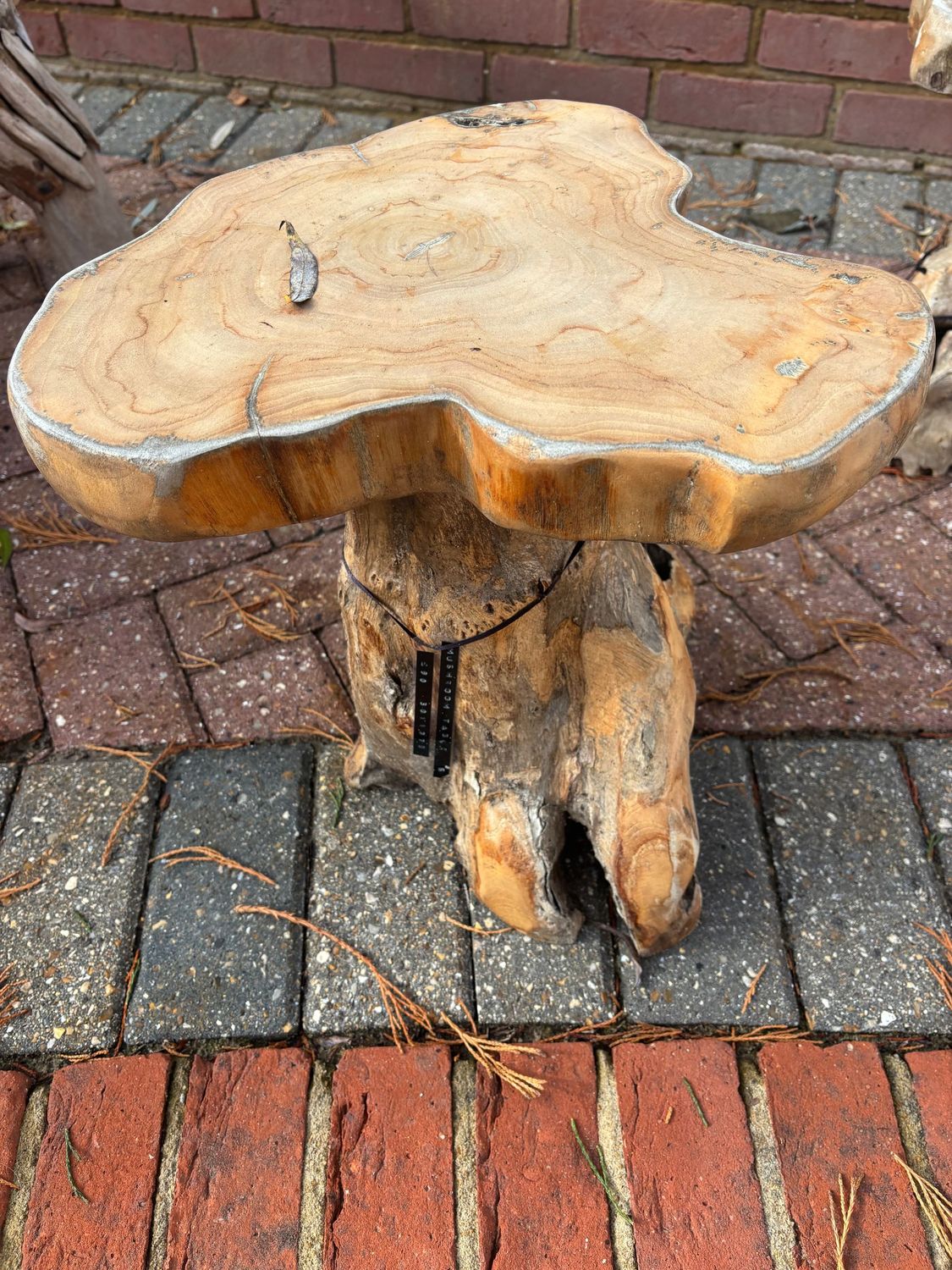 Mushroom Coffee Table  - Small