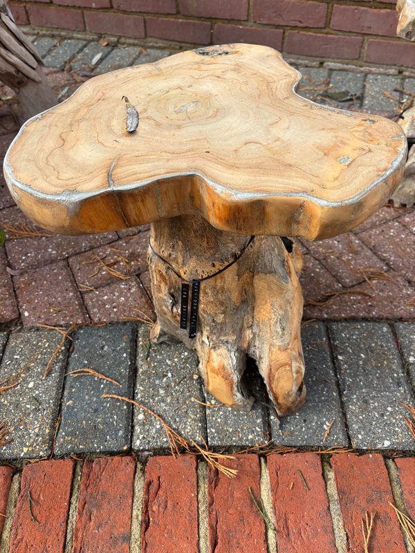 Mushroom Coffee Table  - Small