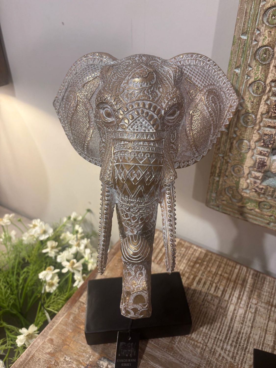 Oriental Elephant Head - L