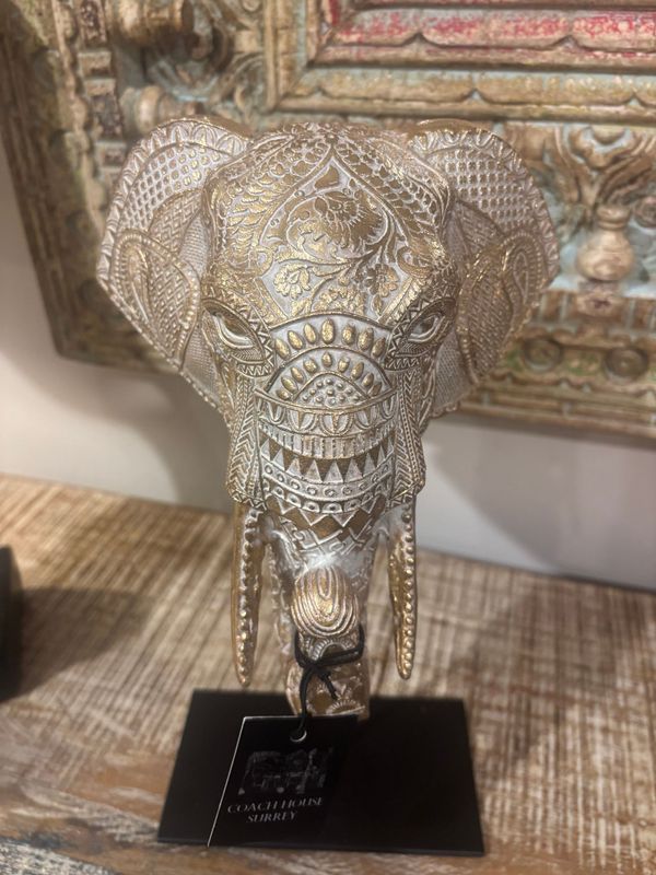 Oriental Elephant Head - S