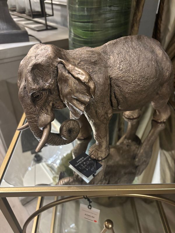 Indian Elephant