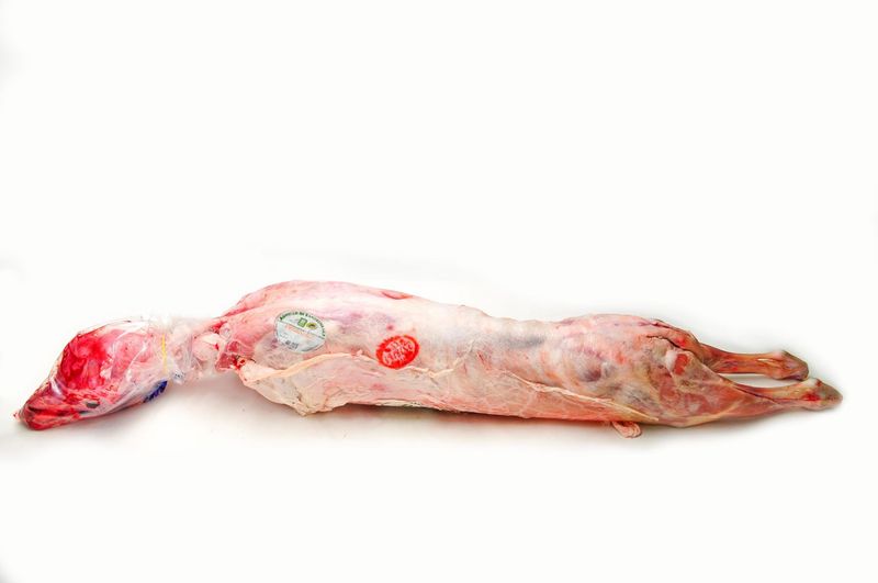 Agnello