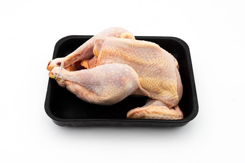 Gallina a busto