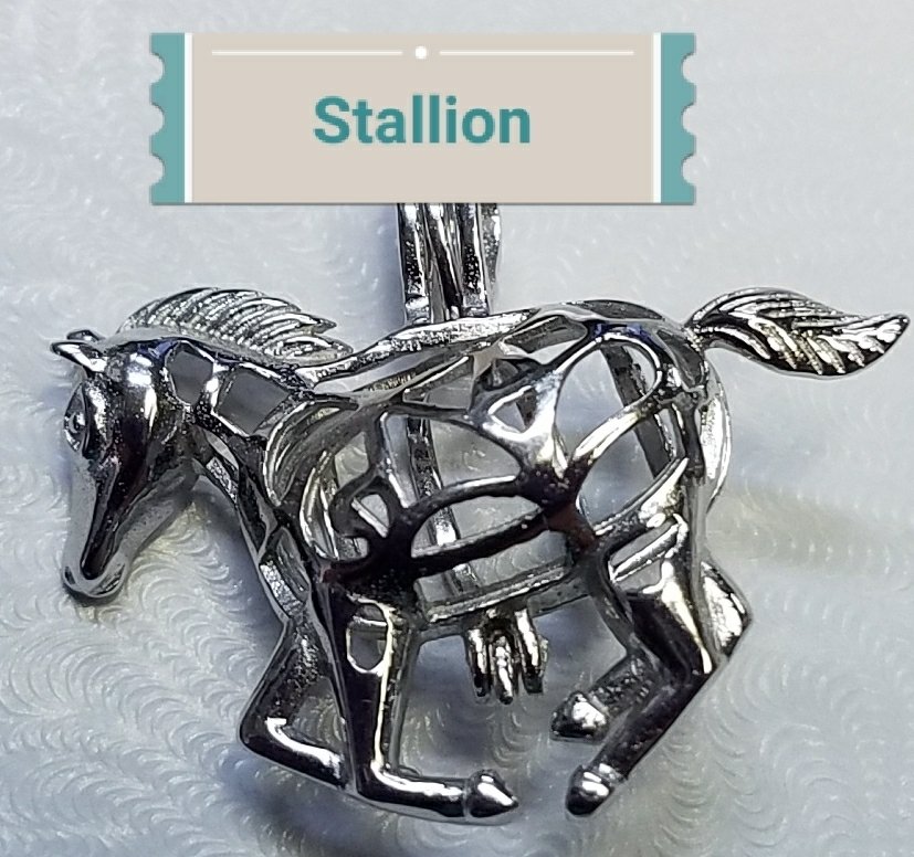 Stallion