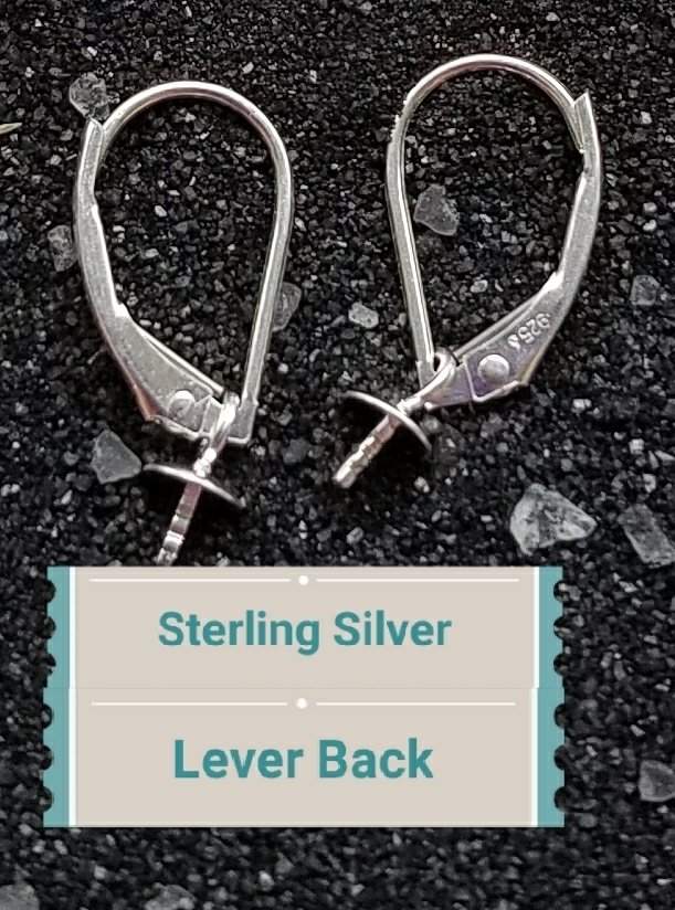 SS Leverback Earrings