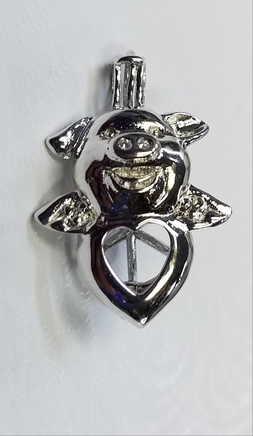 Flying Pig