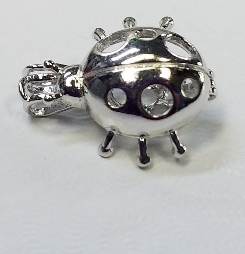 Ladybug