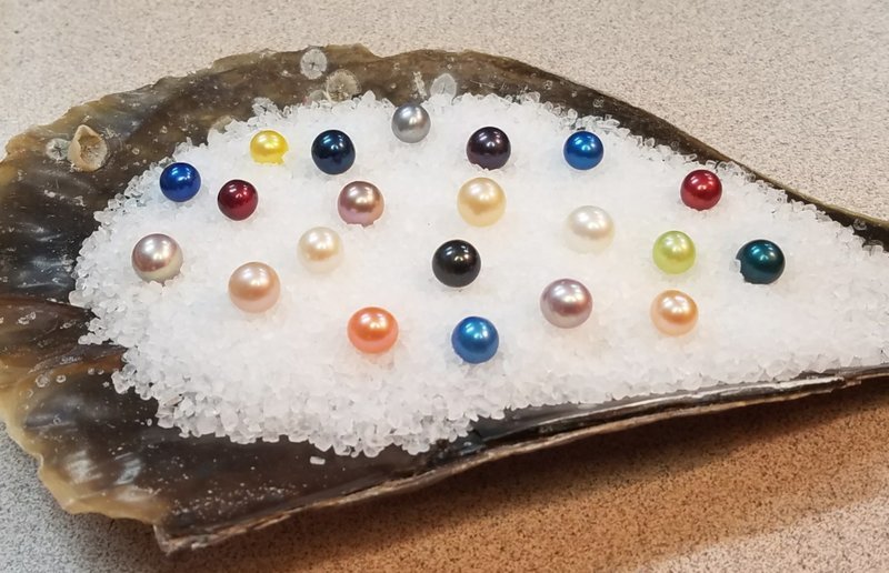 Oysters (with cultured pearls)
