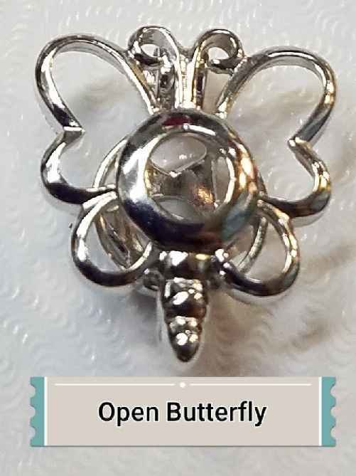 Open Butterfly