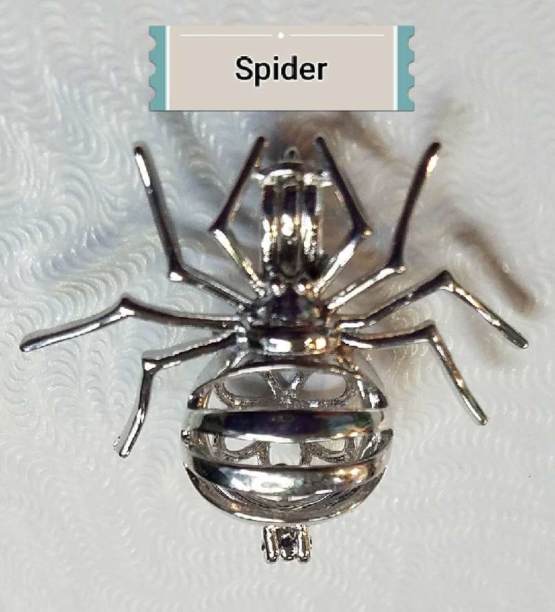 Spider