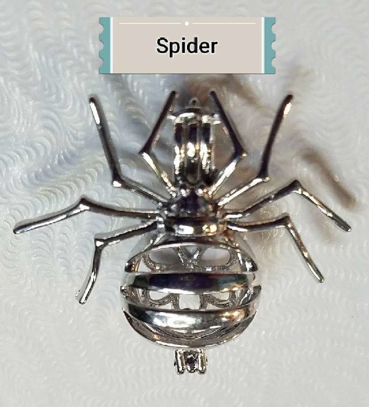 Spider