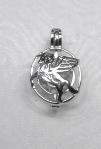 Pegasus