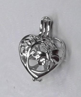 Dragonfly Heart