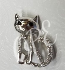 *Kitty