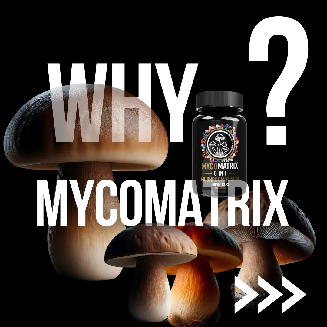 MYCOMATRIX 6-IN-1 Medicinal Mushrooms