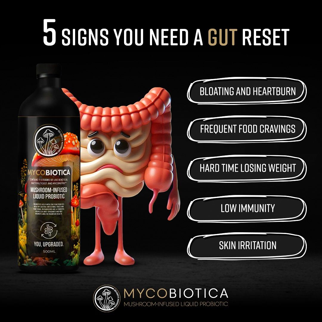 MYCOBIOTICA Mushroom-Infused Liquid Probiotic
