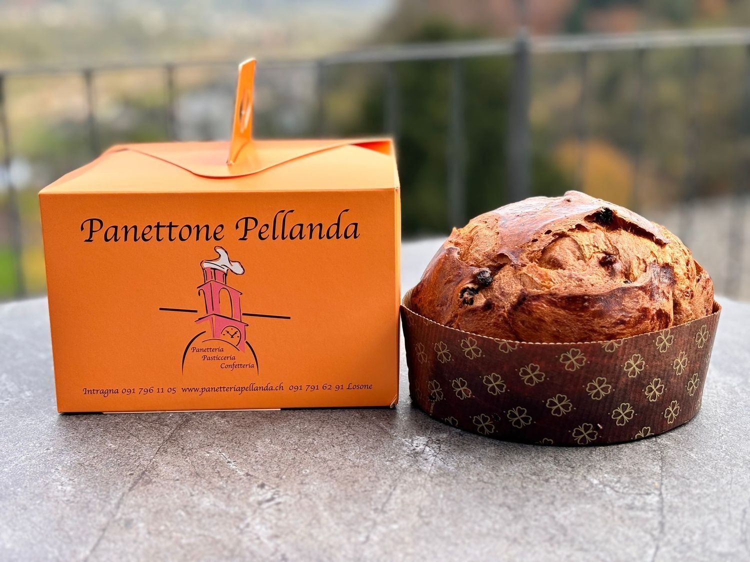 Panettone nostrano