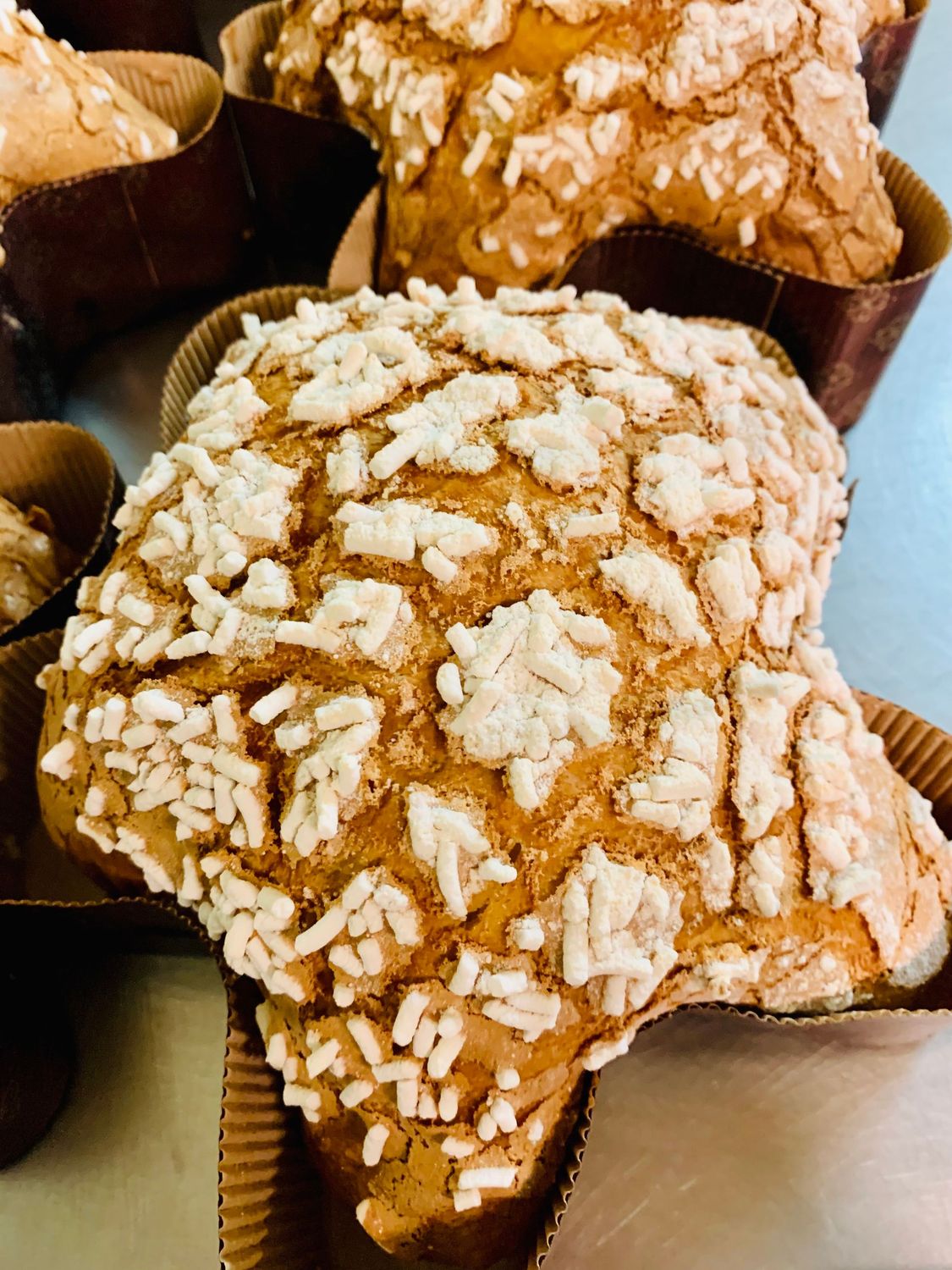 Stella ai marroni 600 gr