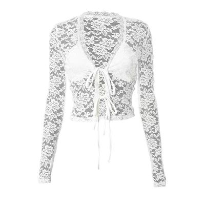 Hollow Lace V Neck Short Top