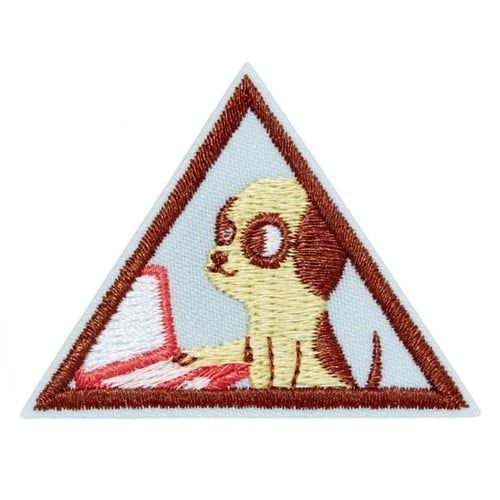 Brownie Cybersecurity Basics 1