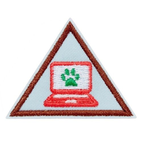 Brownie Cybersecurity Safeguards 2