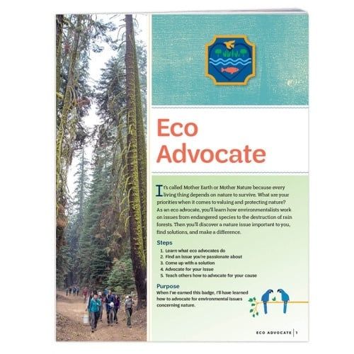 Ambassador Eco Advocate Requirement Pamphlet