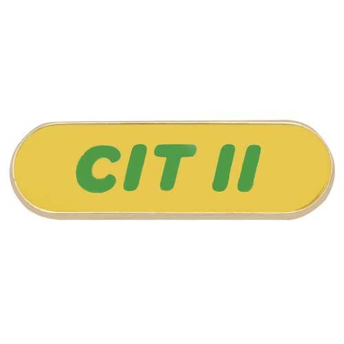 CIT 2 PIN