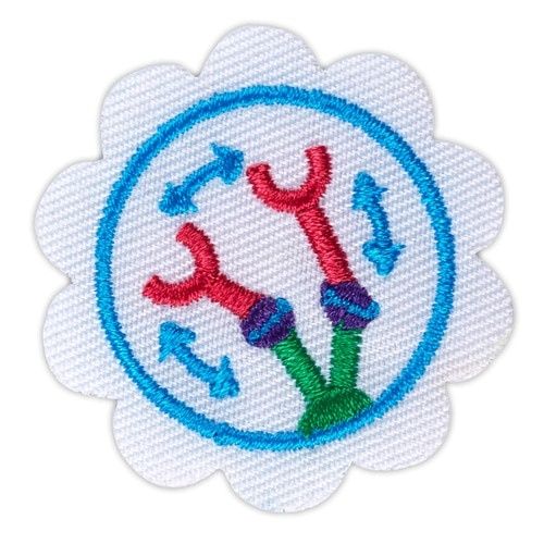 Daisy Design  A Robot Badge