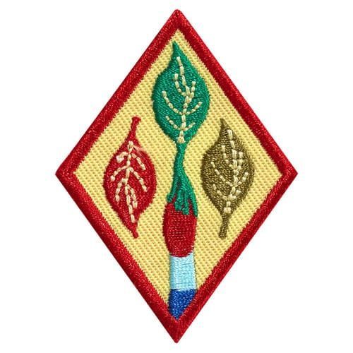 CADETTE OUTDOOR ART APRENTICE BADGE