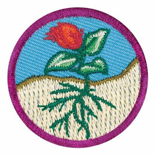 JUNIOR FLOWERS - LEGACY