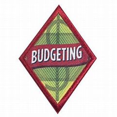 CADETTE BUDGETING - FINANCIAL LITERACY