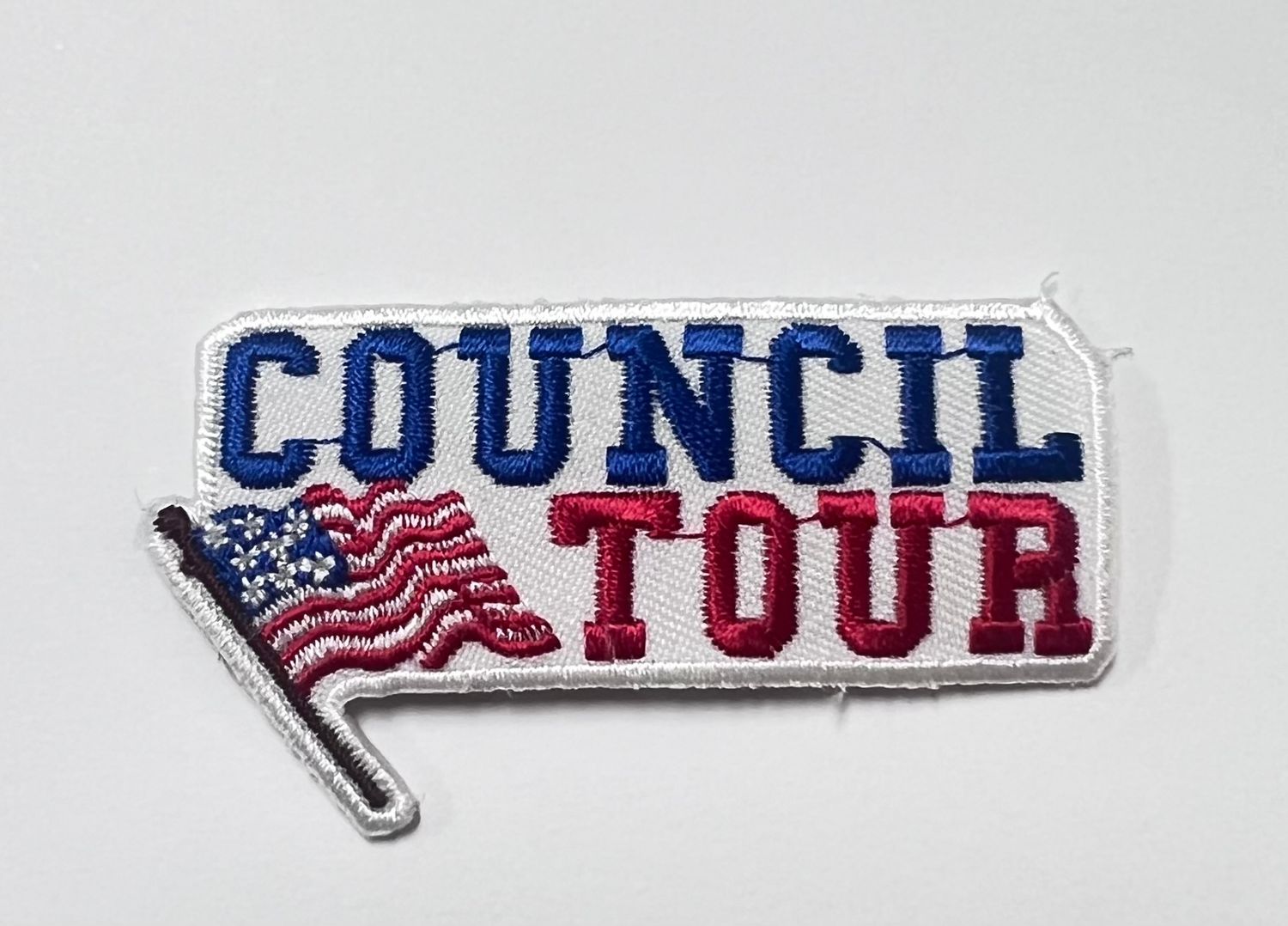 COUNCIL TOUR (with flag)   AFP
