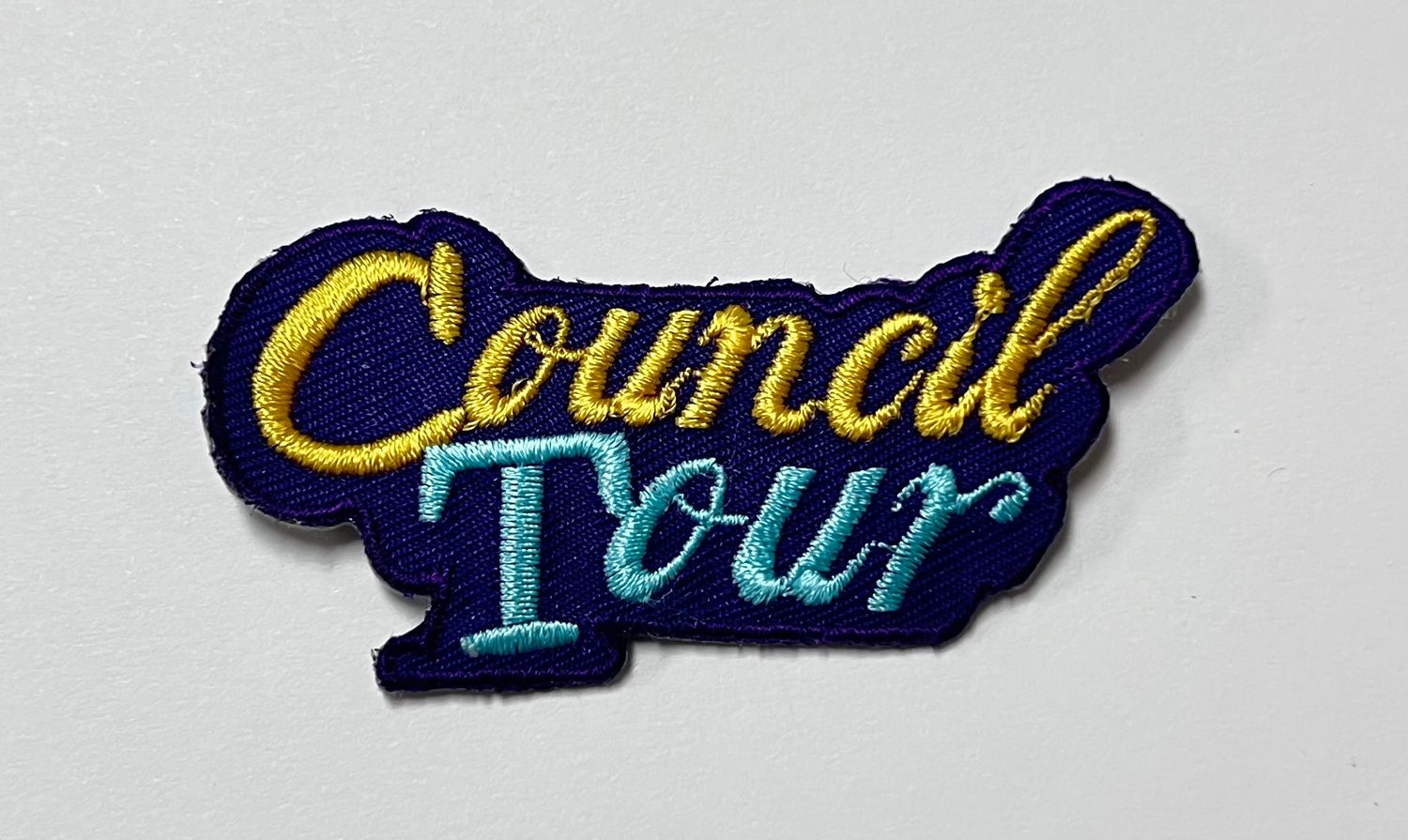 COUNCIL TOUR   AFP