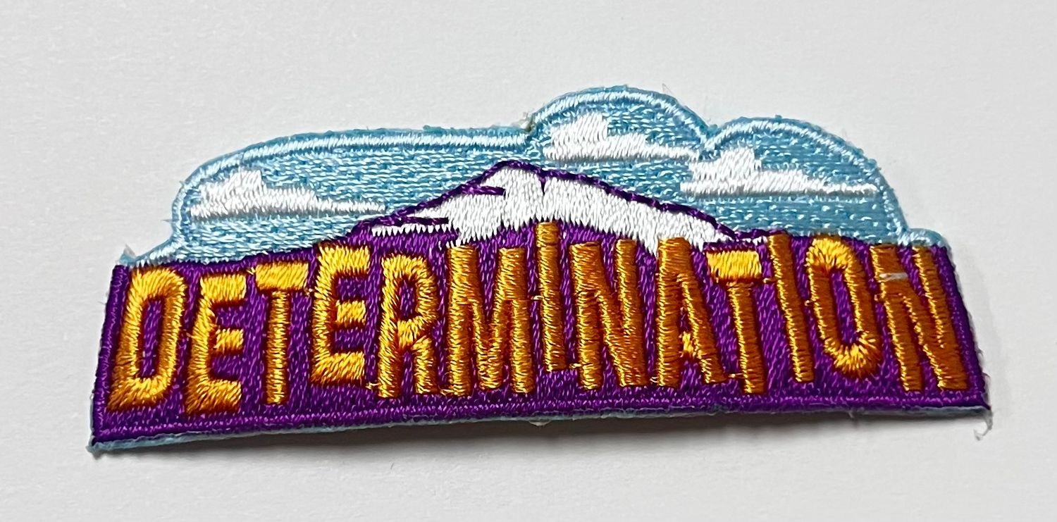 DETERMINATION  AFP