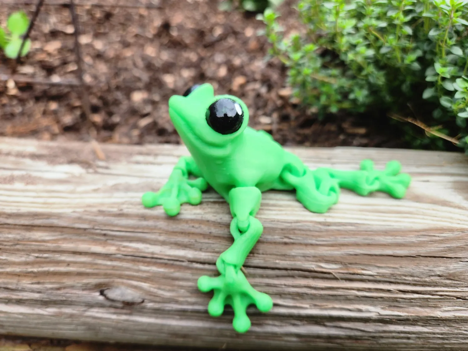 Froggy Friend 3d Fidget