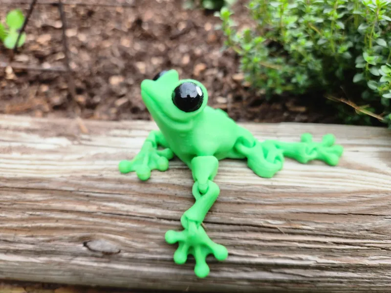 Froggy Friend 3d Fidget