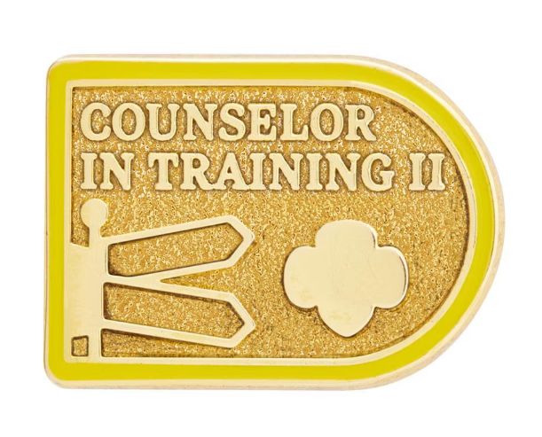 New Counselor in Training II Award Pin