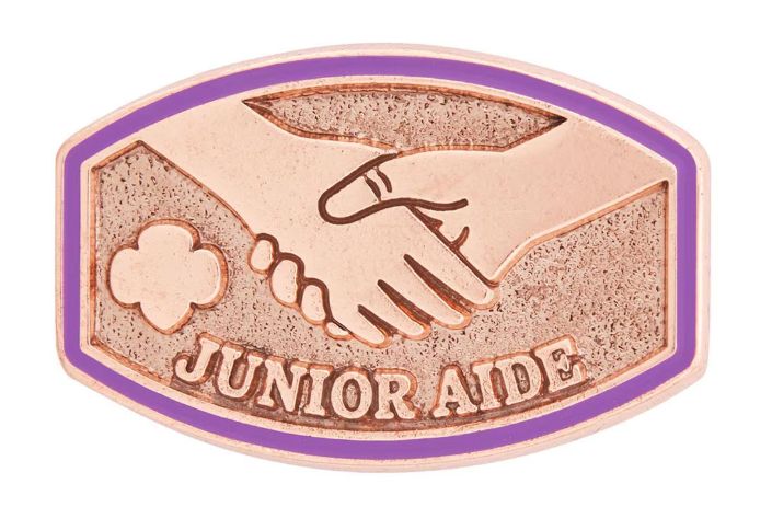 New Junior Aide Award Pin