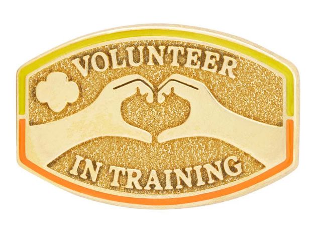 New Volunteer in Training Award Pin