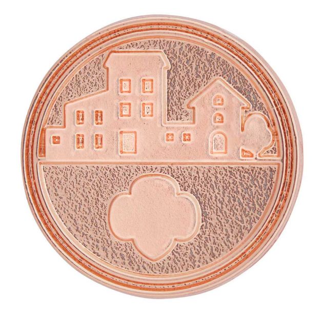 Global Action Award Pin