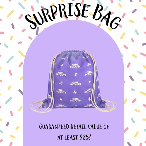 2025 Purple Surprise Bag