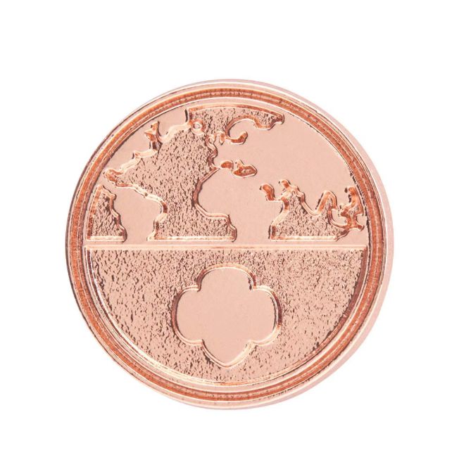 Global Action Award Pin