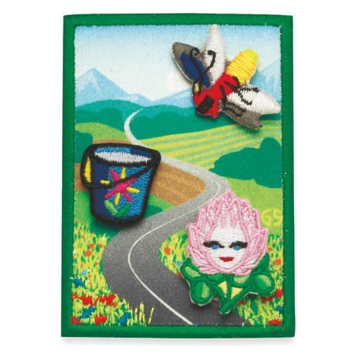 D EARTH SKY AWARD PATCH