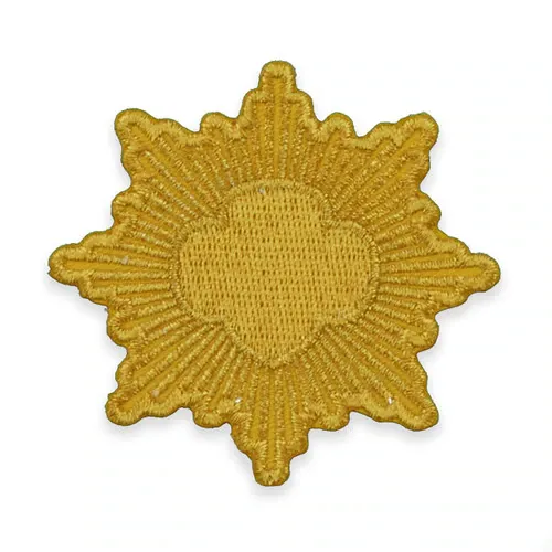 GS GRADUATION REGALIA GOLD AWARD EMBLEM PATCH